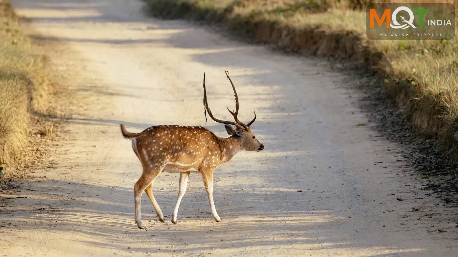 Jim Corbett National Park, Uttarakhand