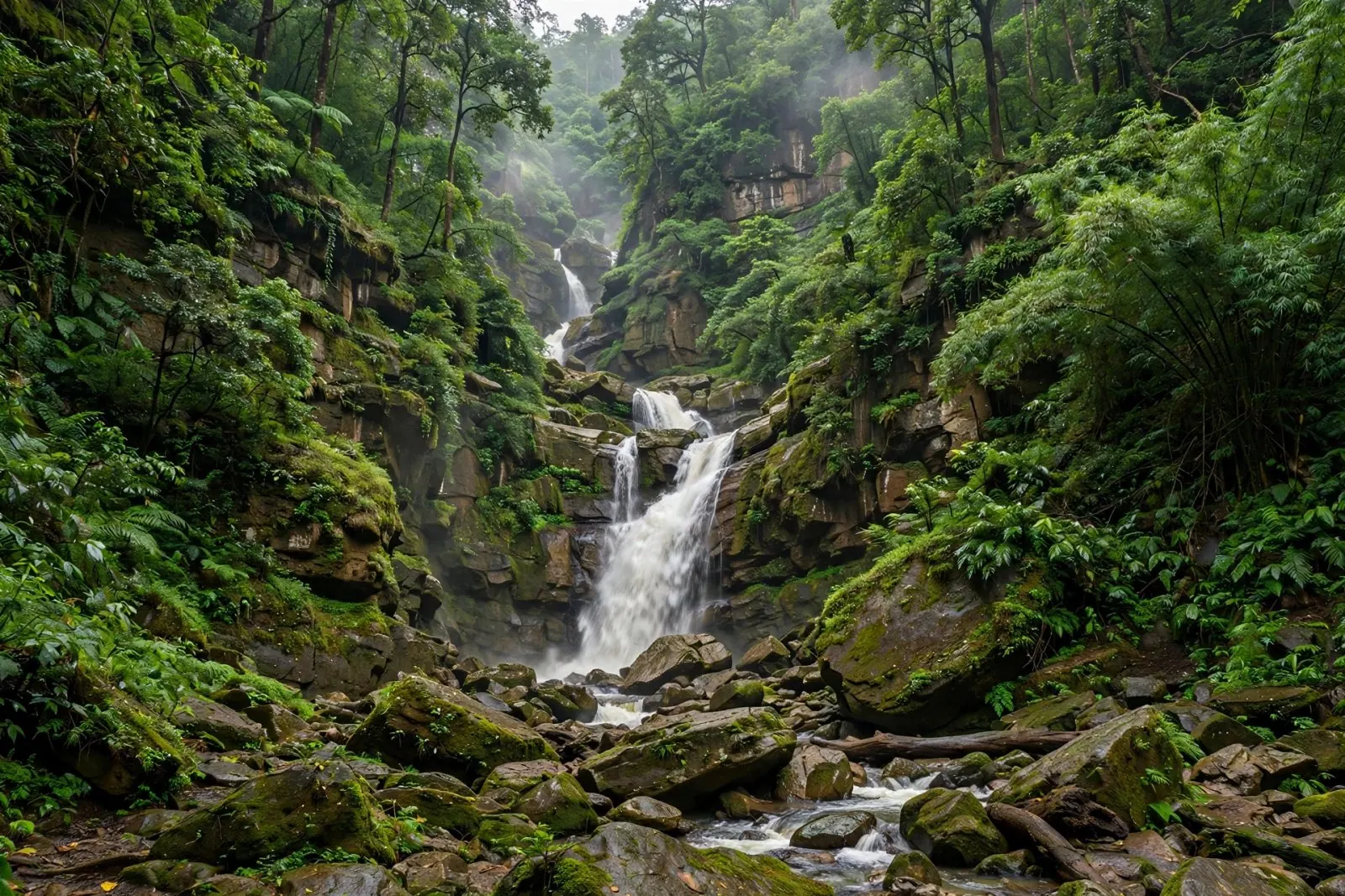 Kanger Ghati National Park: Safari, Caves & Travel Guide