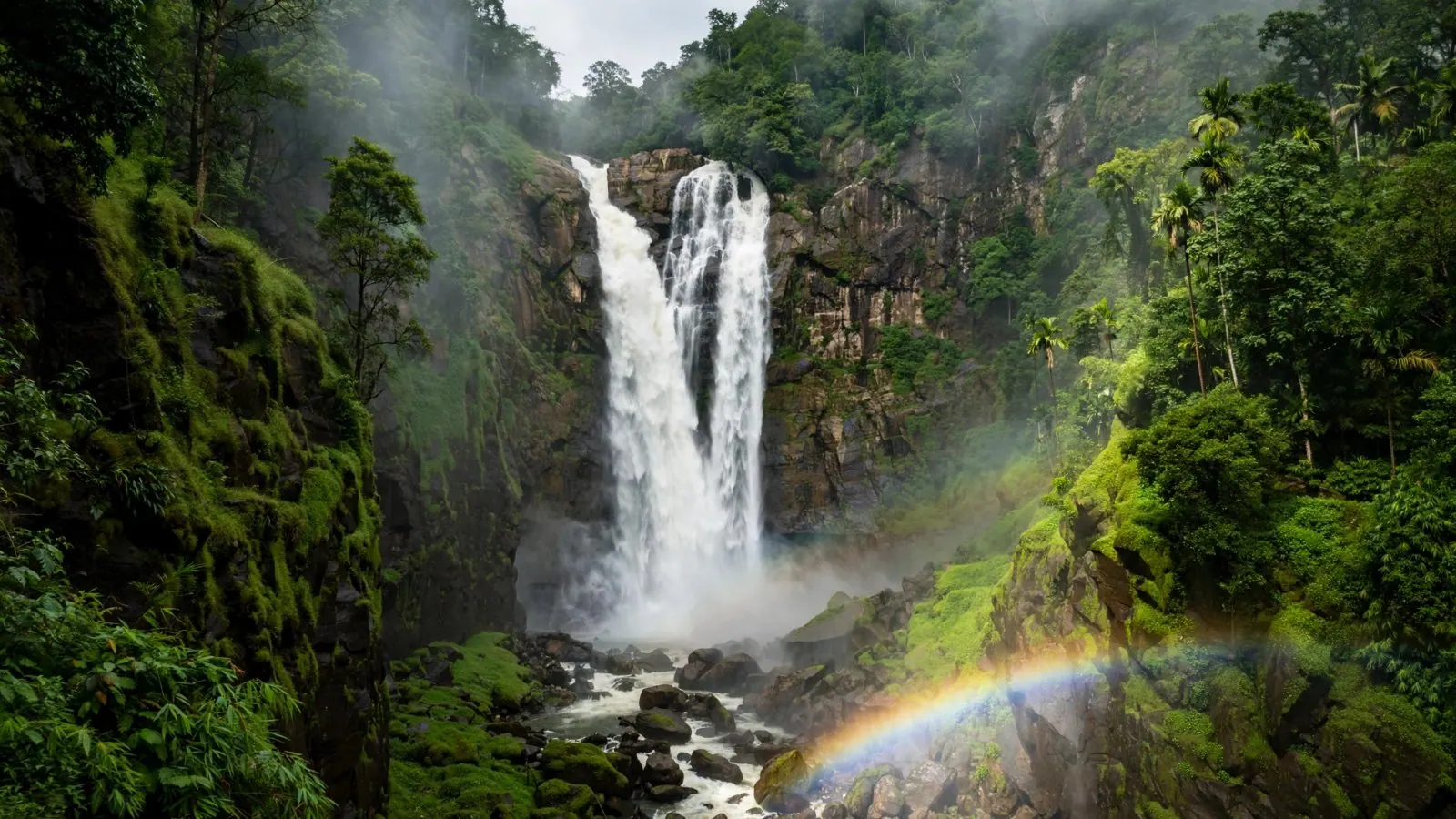 Top 10 Highest Waterfalls in India – Complete Travel Guide