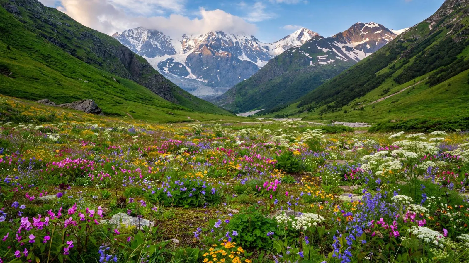 Valley of Flowers National Park | Best Time, Trek & Guide