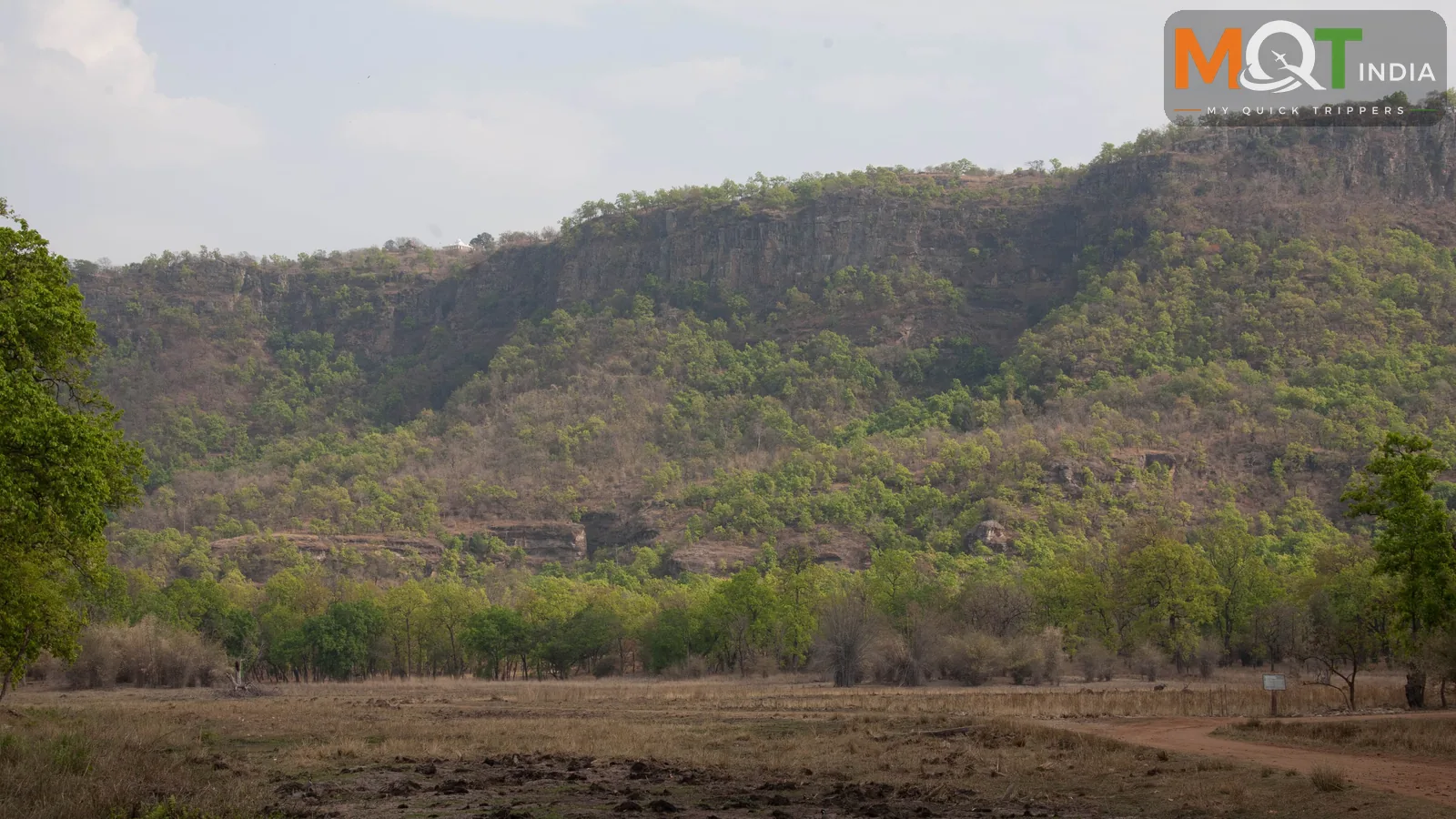 Tiger Trail Tour Package in India