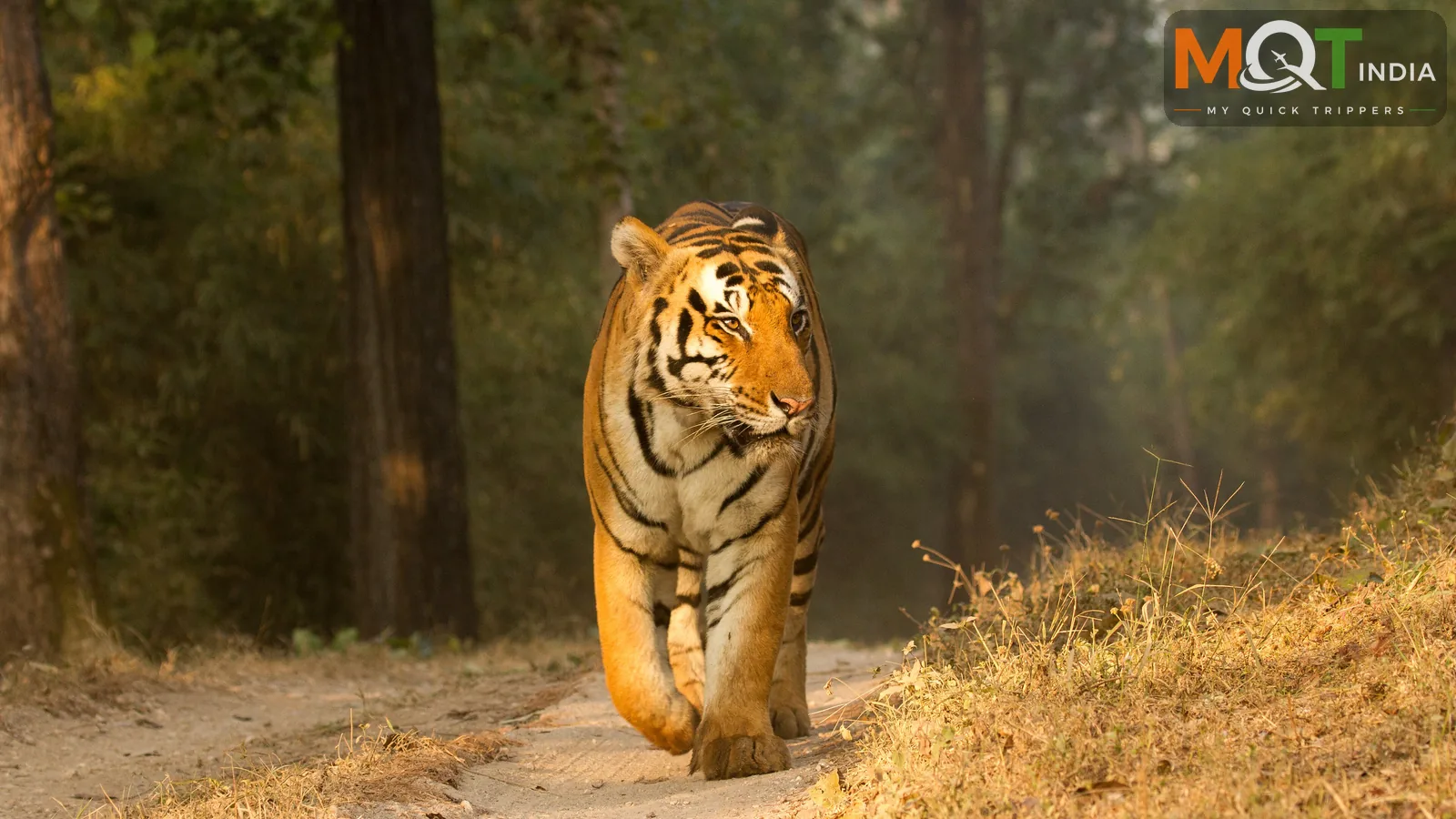 A Trip To The Heart Of India – Central India Tour Package