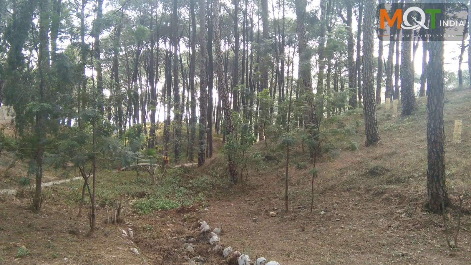 Dharamshala Weekend Tour 2025 – Affordable Himachal Package