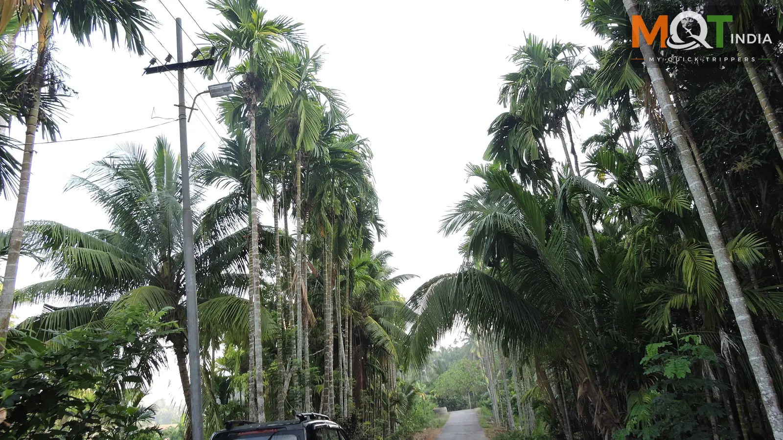 Havelock Island Tour Packages