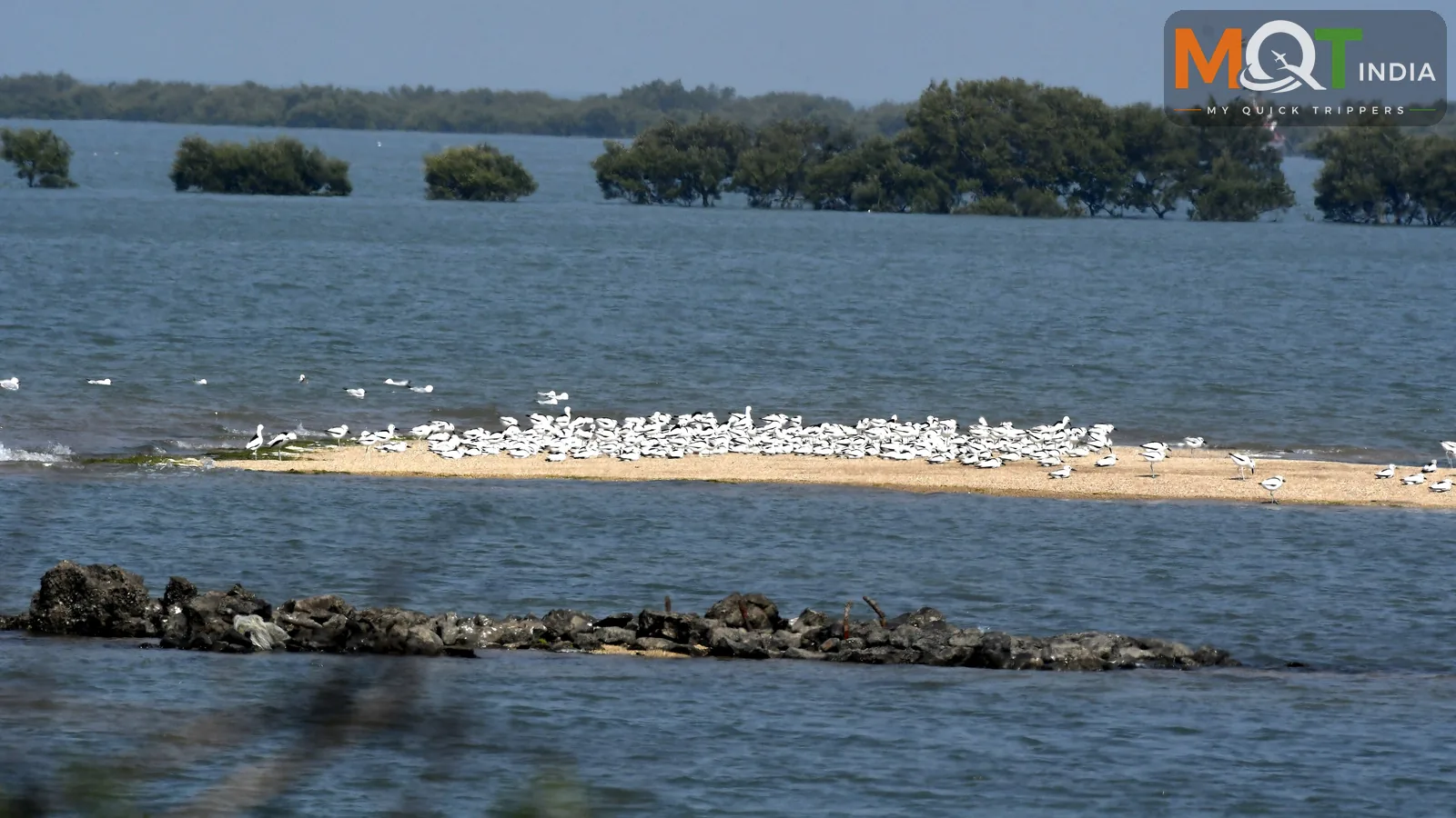 Jamnagar Tour Packages