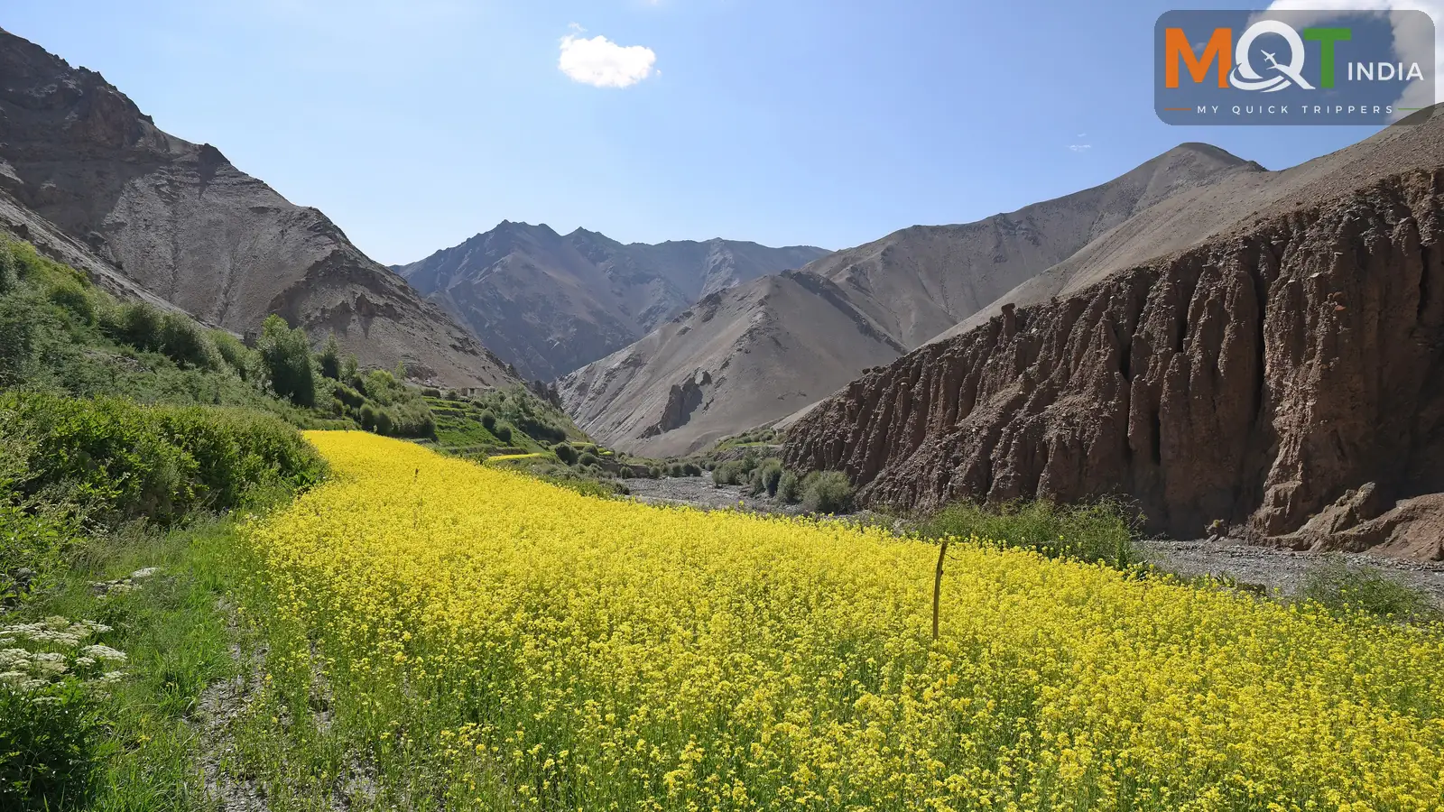 Leh Ladakh Tour Packages tour experience