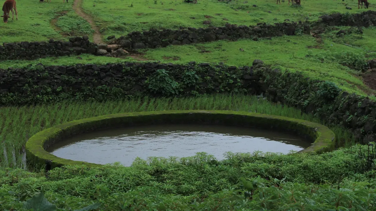 Maharashtra