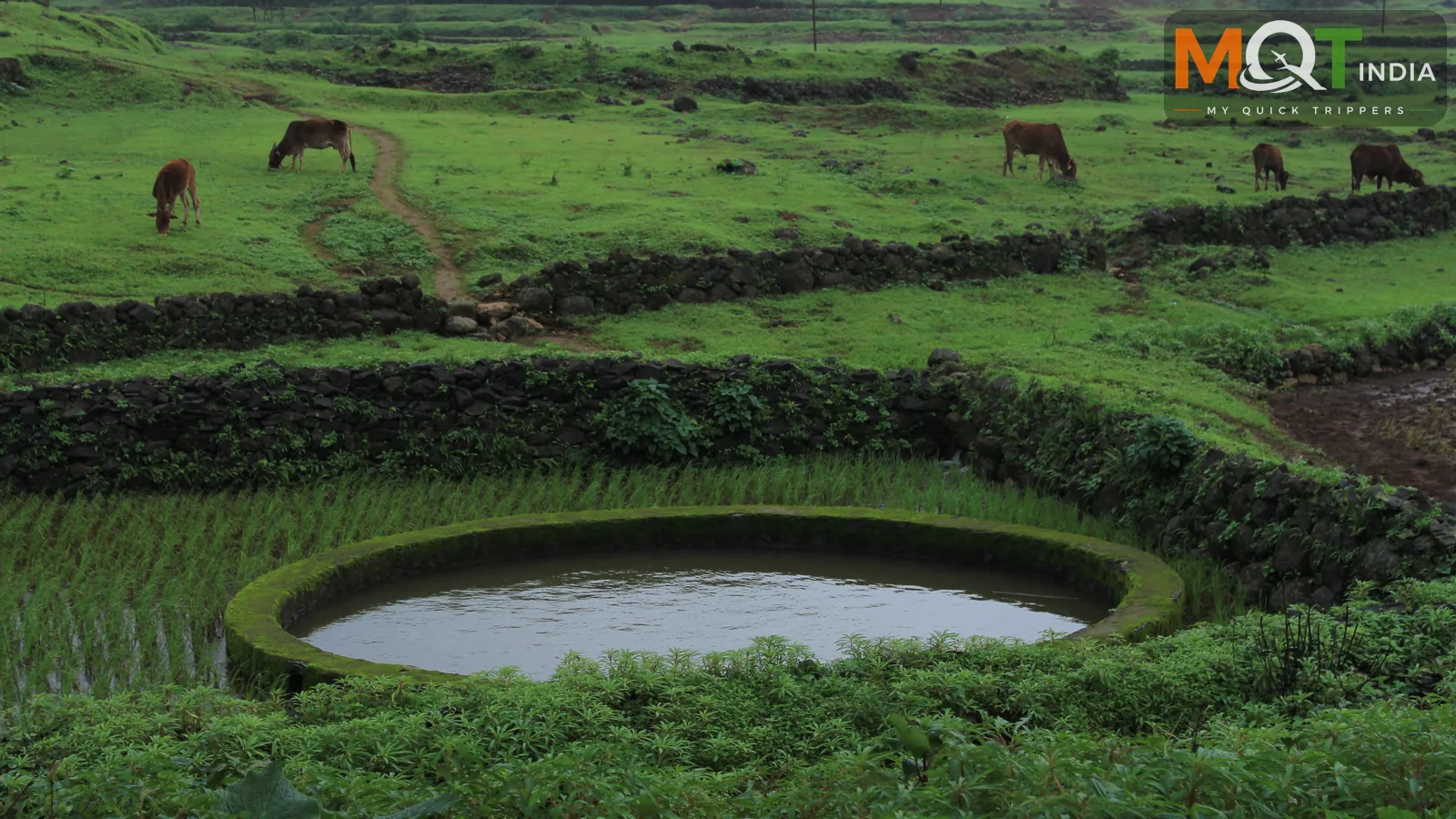 Maharashtra Tour Packages