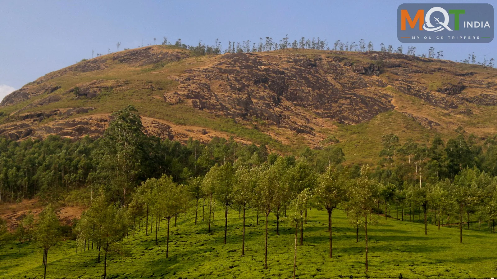 Incredible Kerala Tour Package