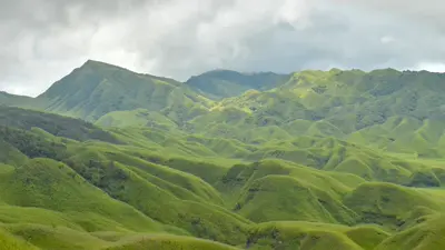Dzukou Valley