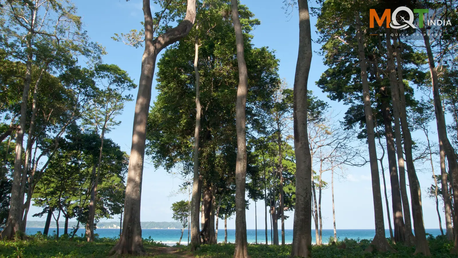 Andaman Tourism