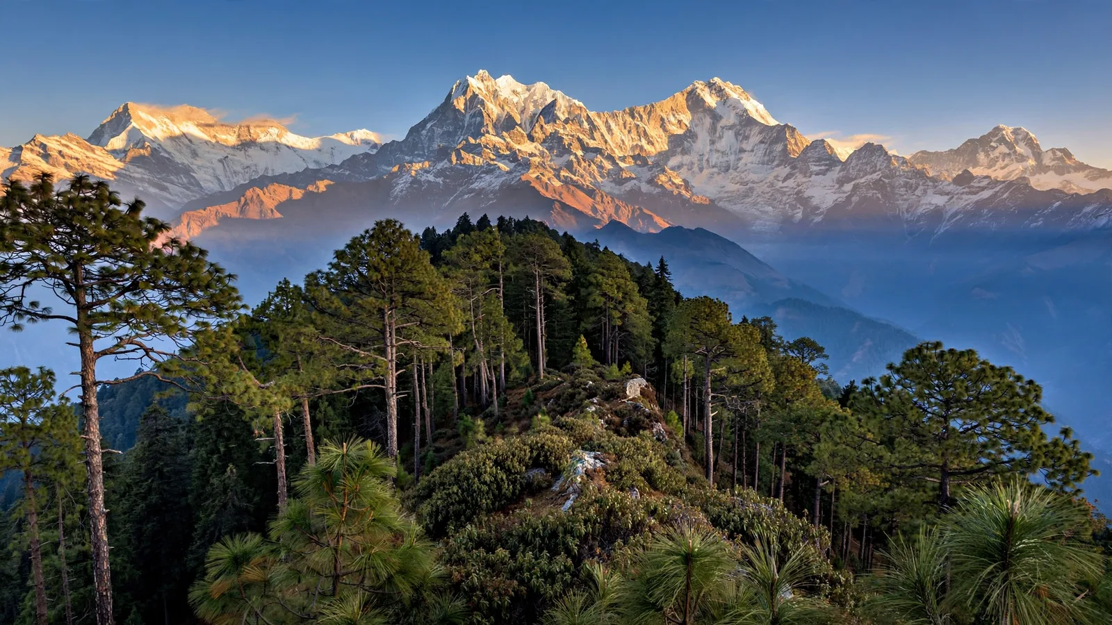 North & South India Tour Package