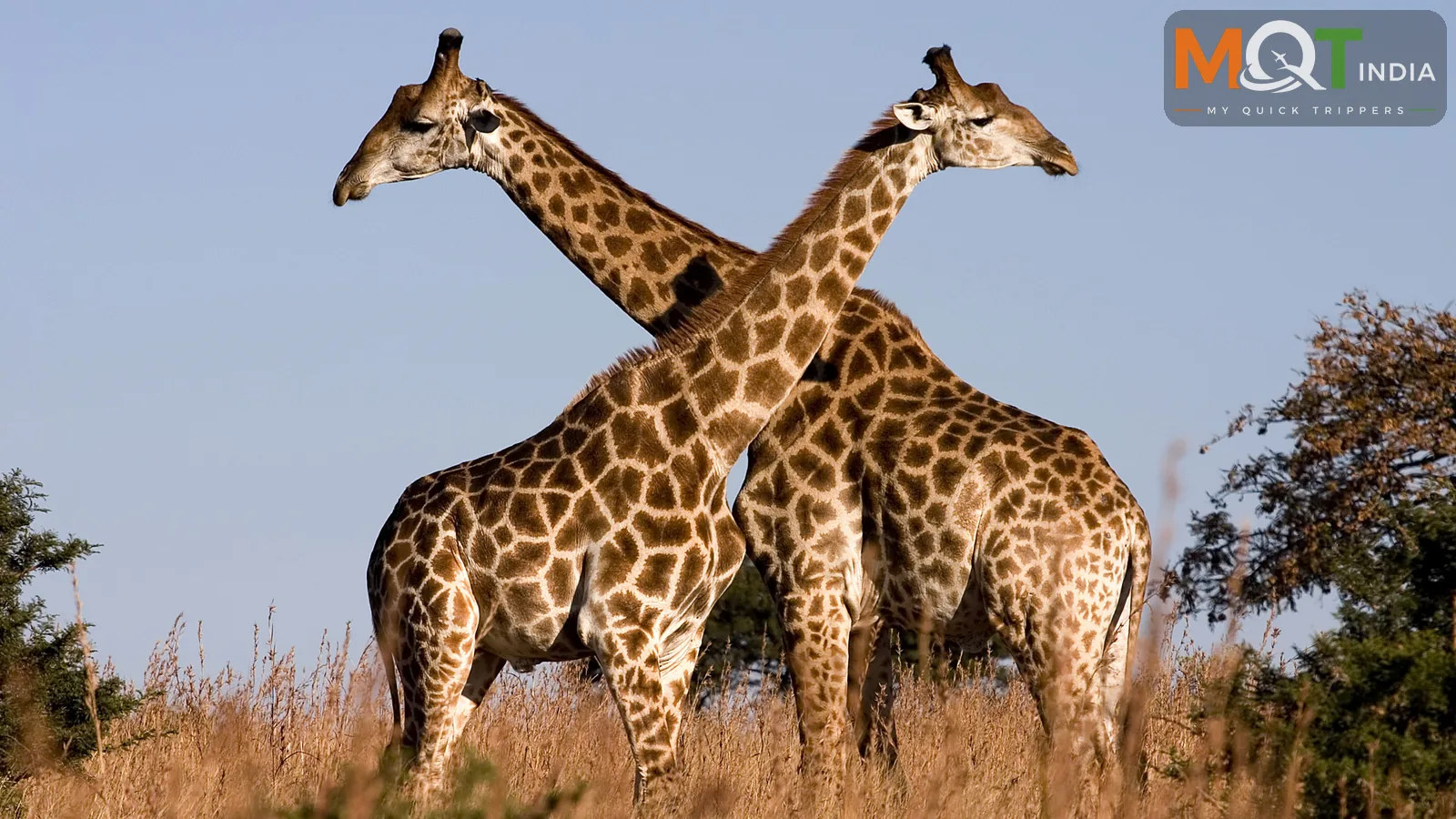 Northern Cape Tour Packages tour experience