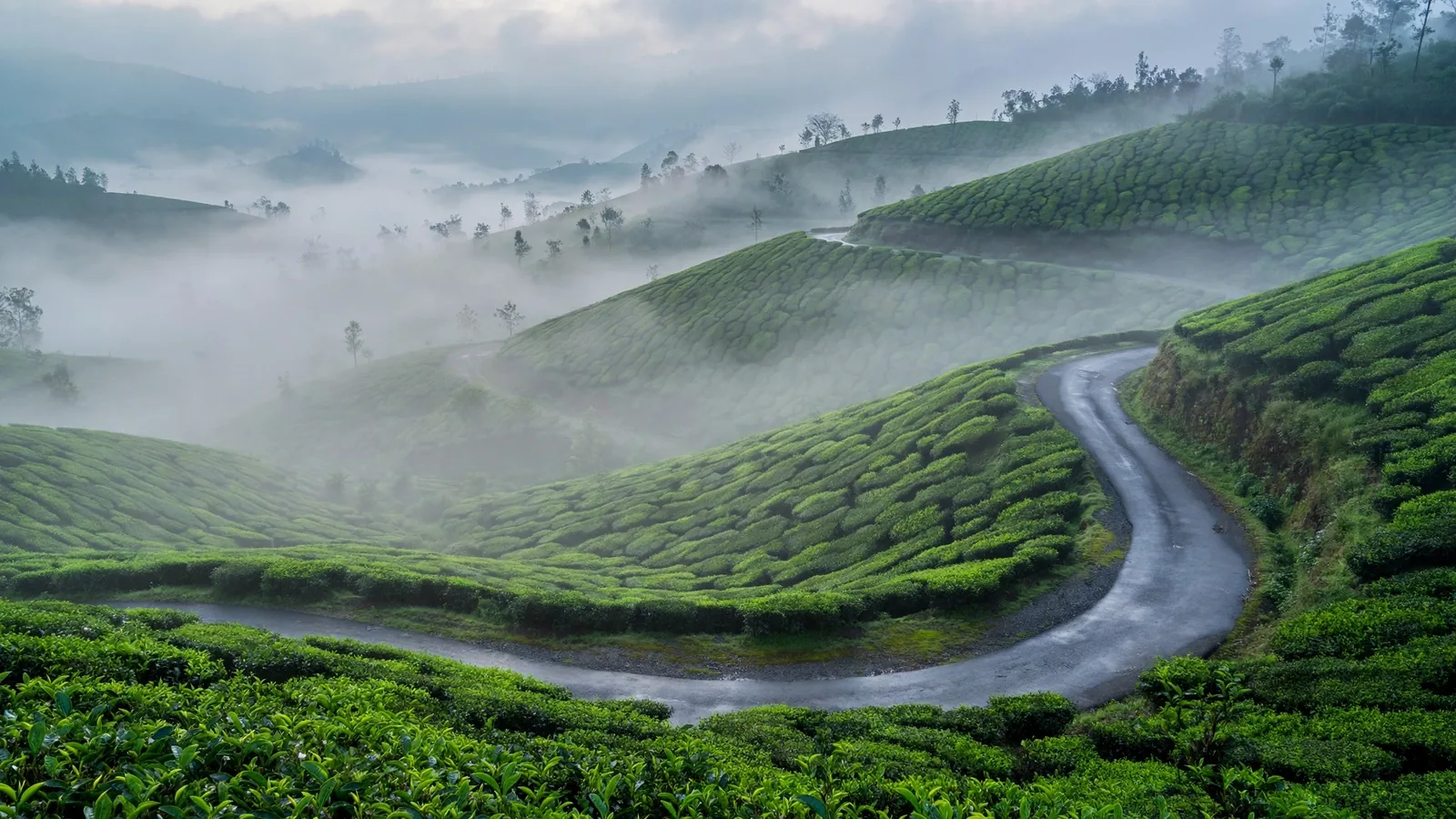 South India Temple Tour Packages from Hyderabad
