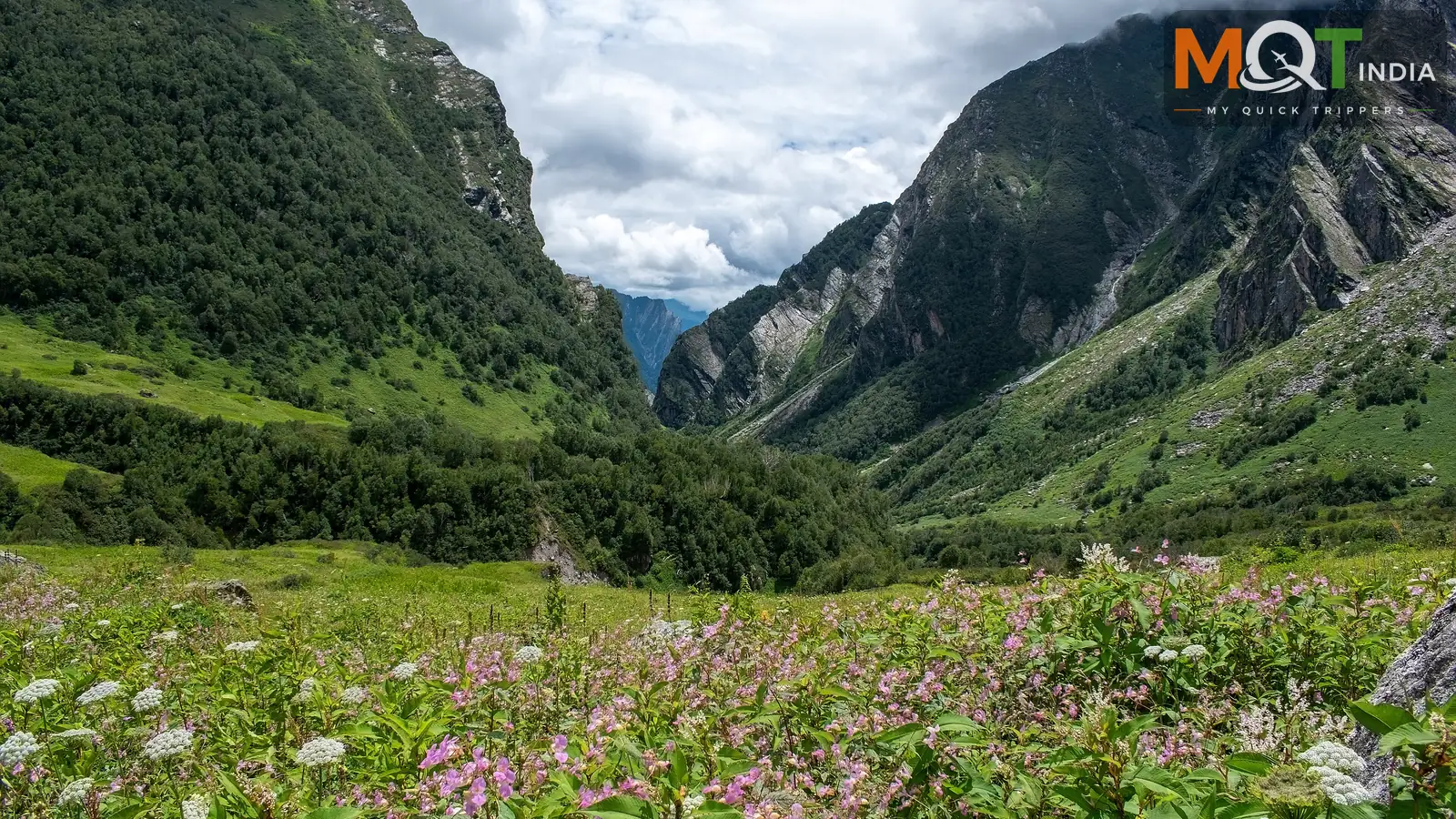 Uttarakhand Bird Watching Tour Package