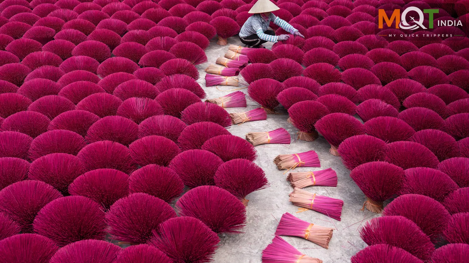 Hanoi, Halong, Saigon, My Tho Tour