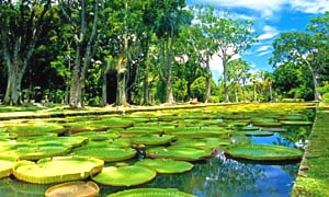 East Africa Tour Packages