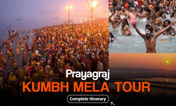 Festival Tours
