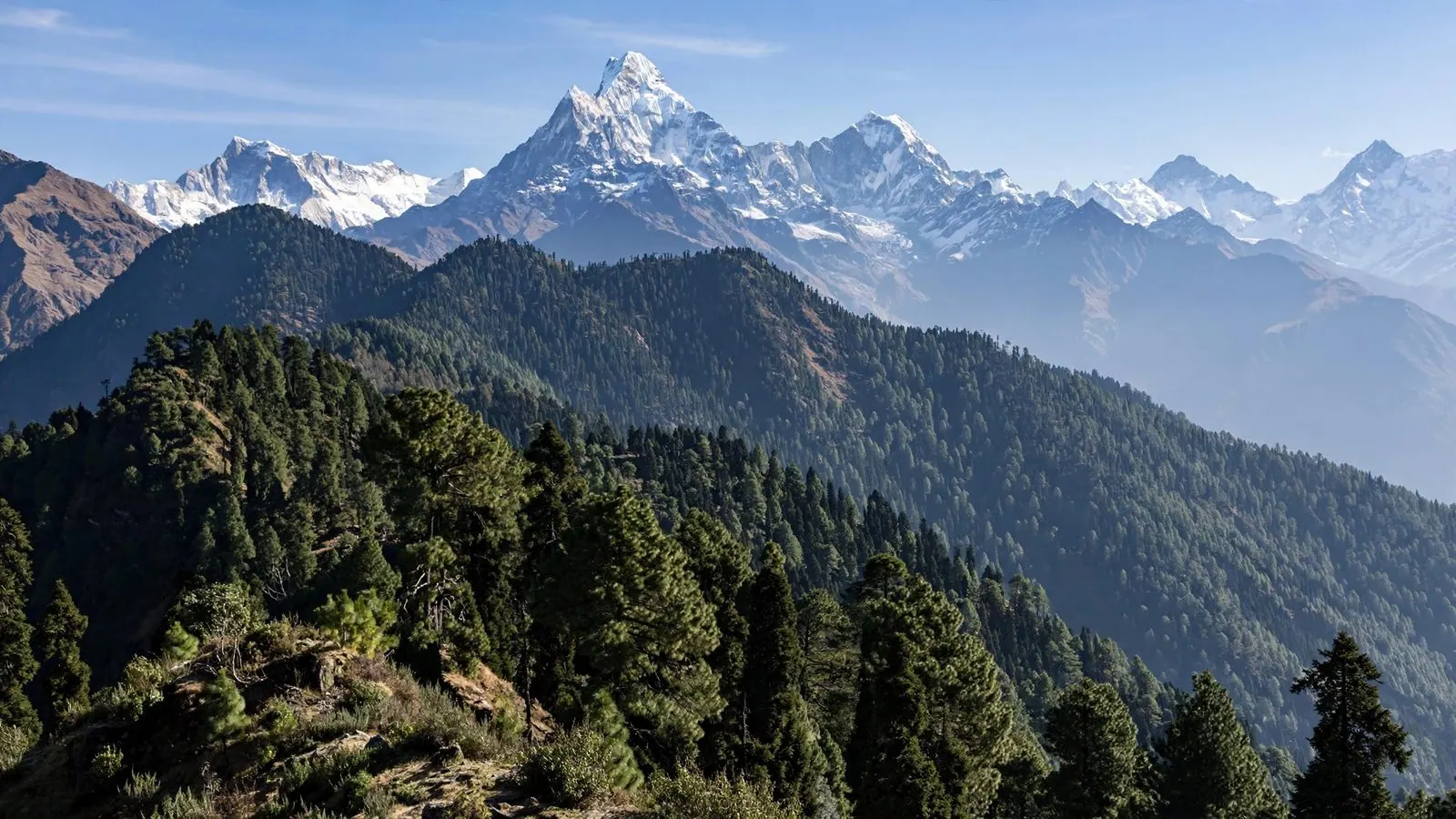 Best of North East India Tour