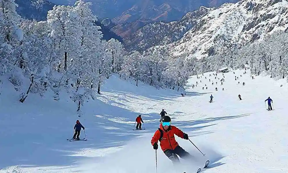 Snow Tours