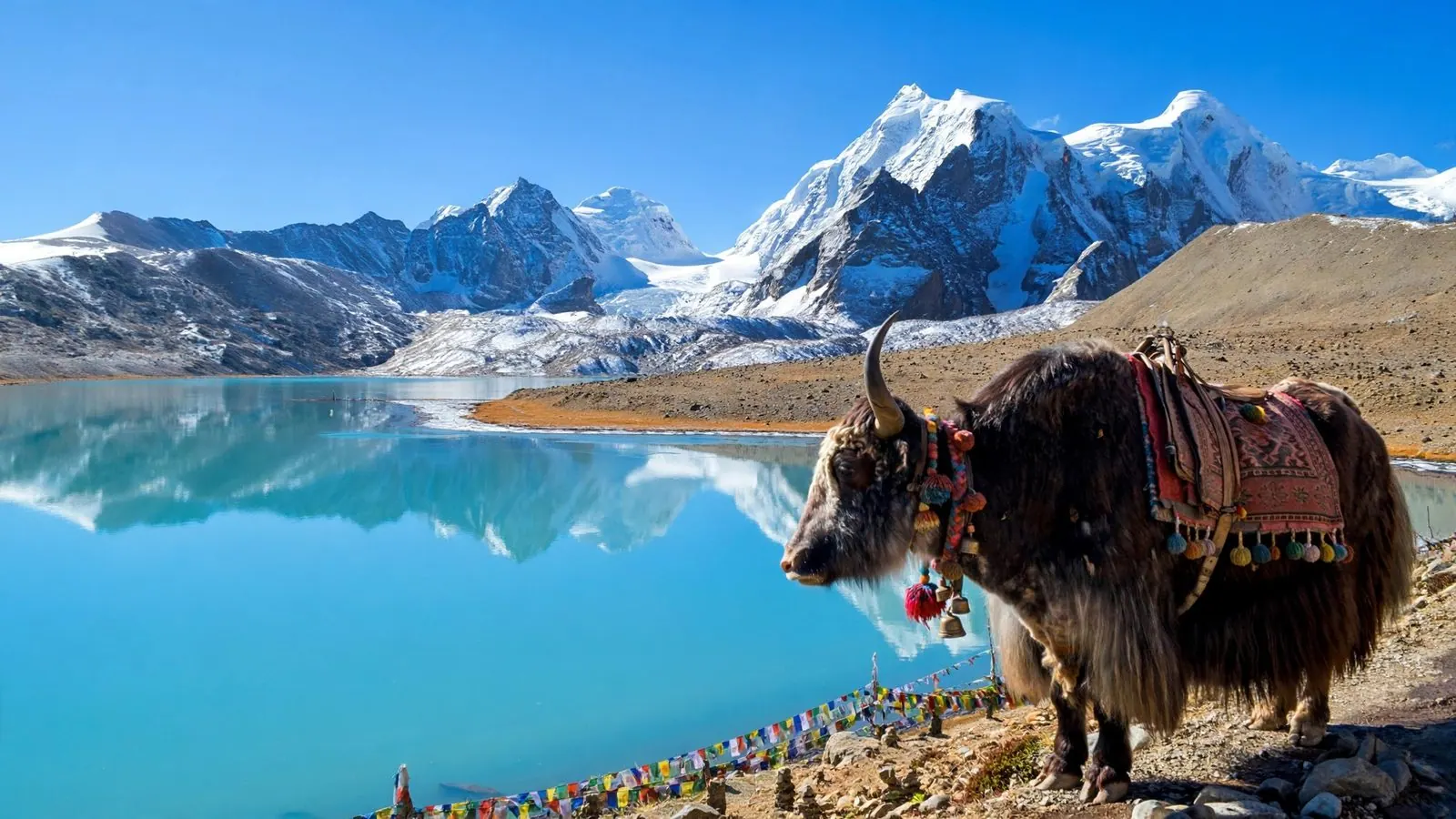 Eastern Himalaya peaks