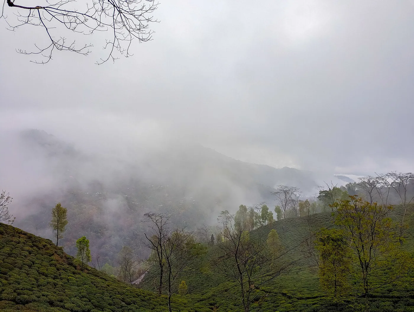 Darjeeling Gangtok Kalimpong Tour Package