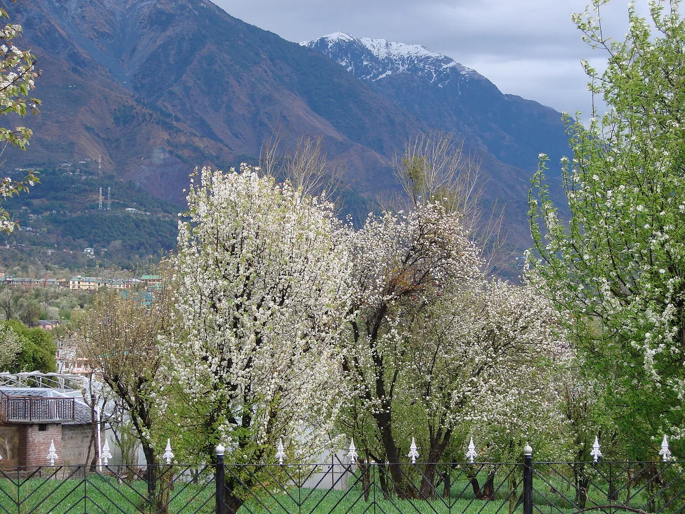 Dharamshala Tour Packages