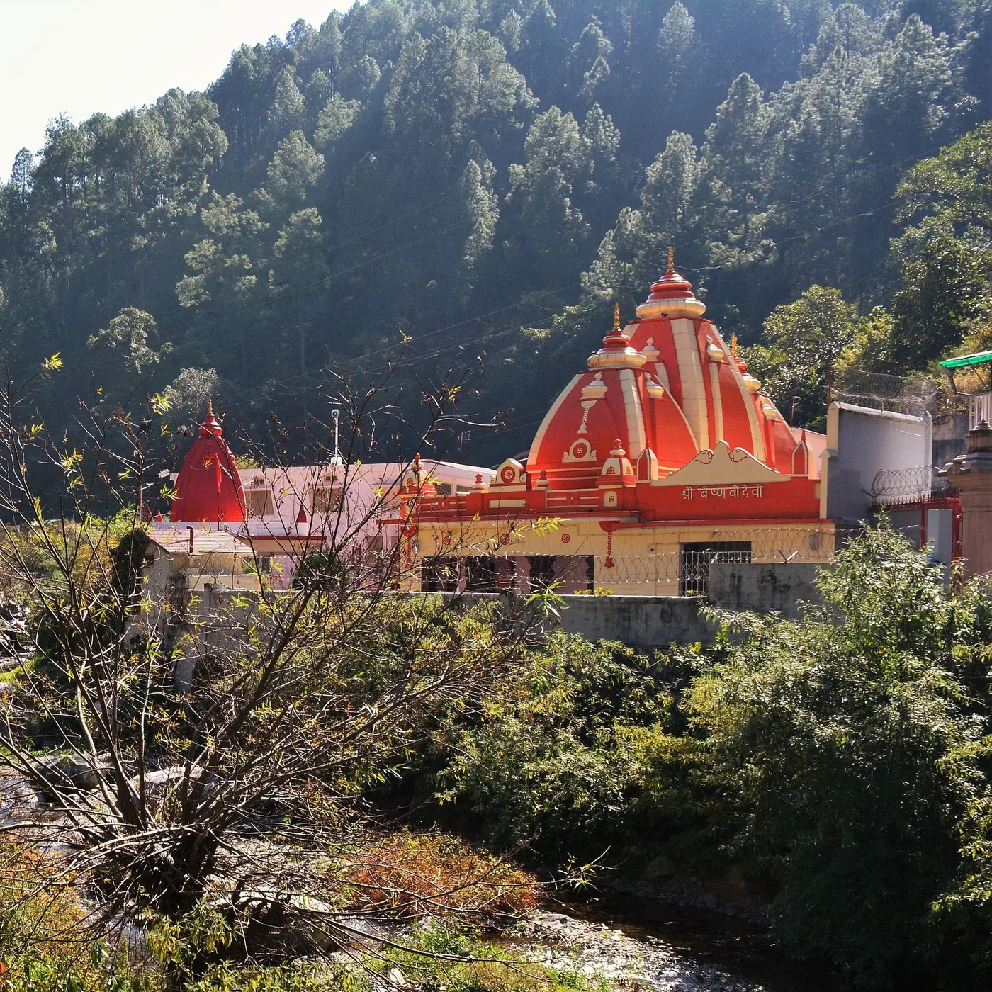 Kainchi Dham Dunagiri Cave Patal Bhuvaneshwar Package