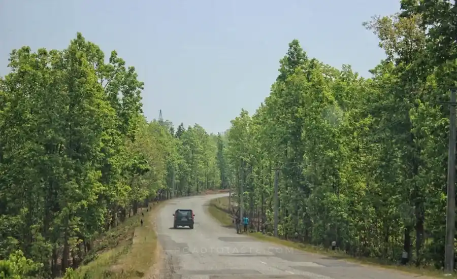 Road Trips
