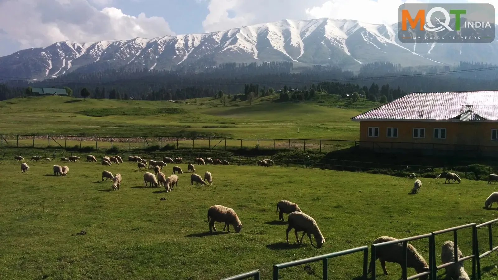 Kashmir in Winter: Top Attractions, Snow Activities & Travel Tips
