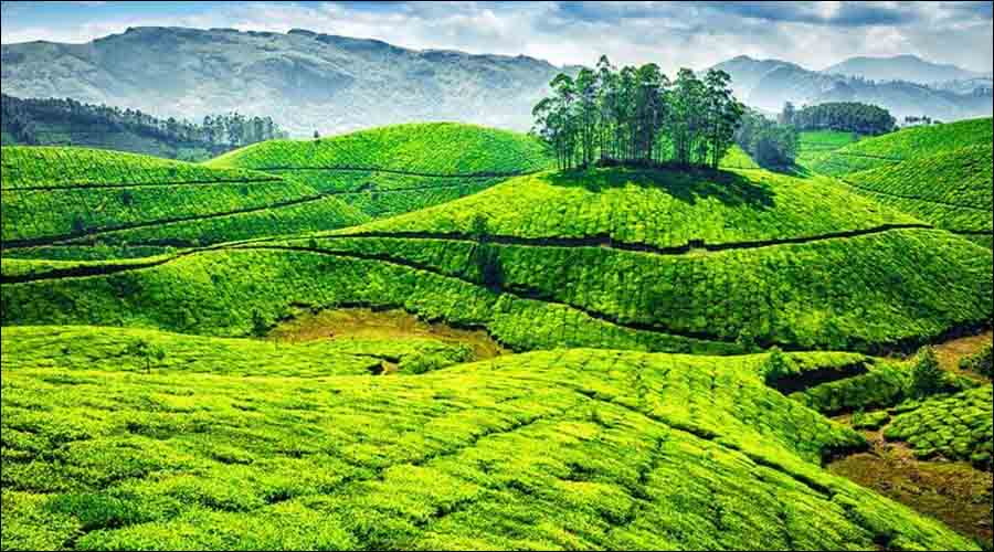 Kerala