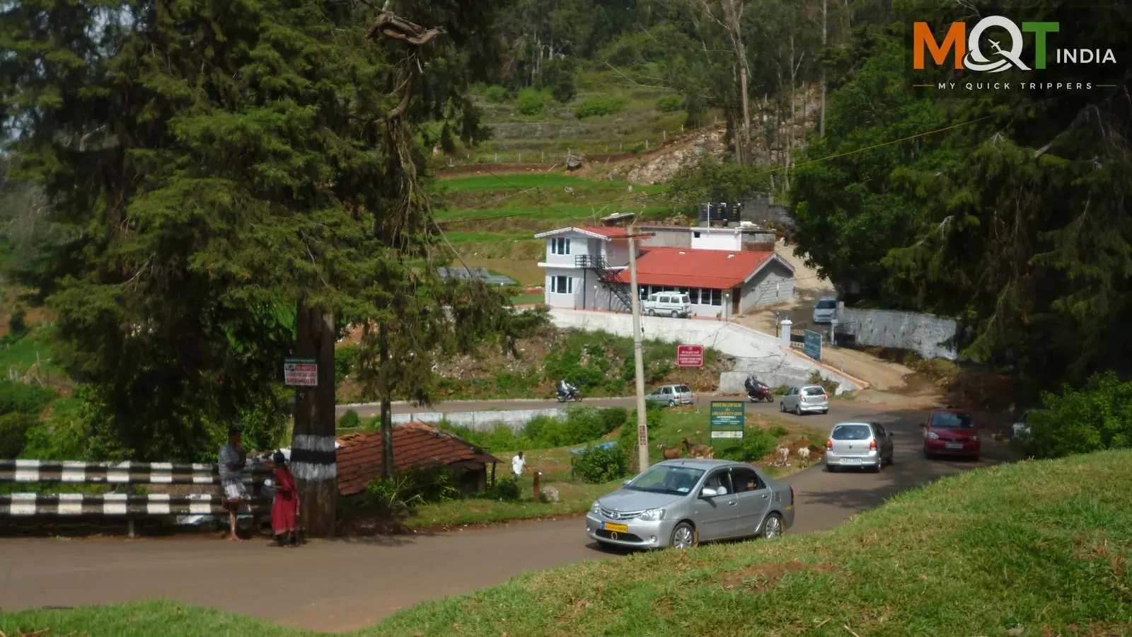 Complete Ooty Travel Guide – What to See & Do