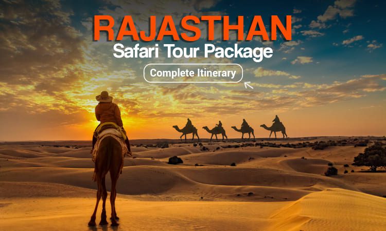 Desert Safaris