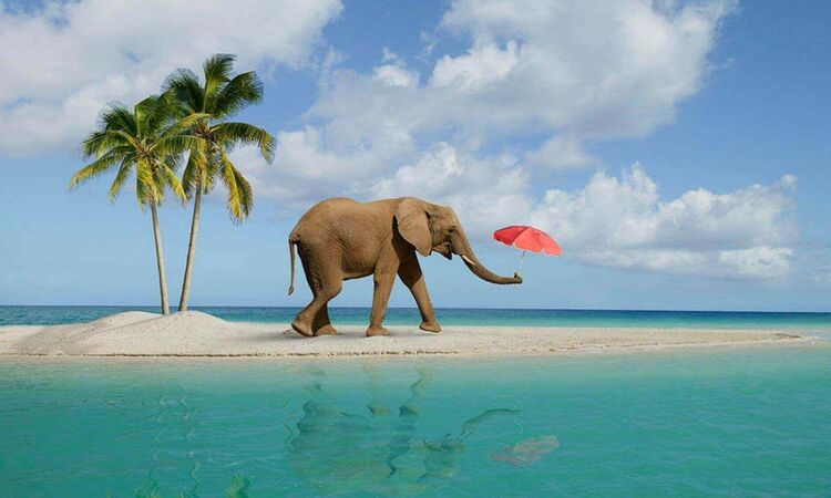 Book Thrilling Andaman With Scuba Diving Tour